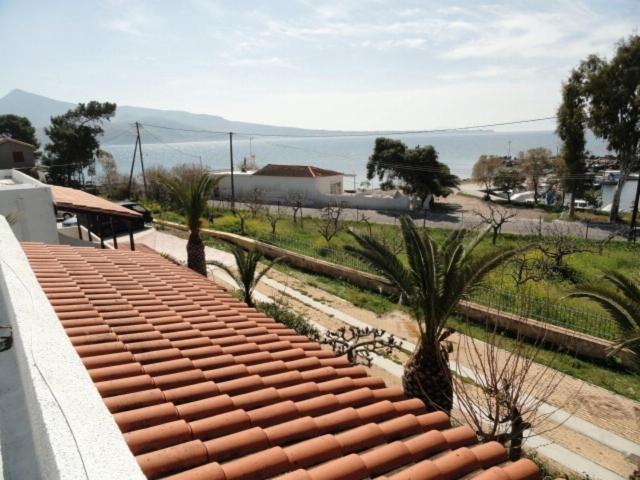 Apartment Stefanie Aegina