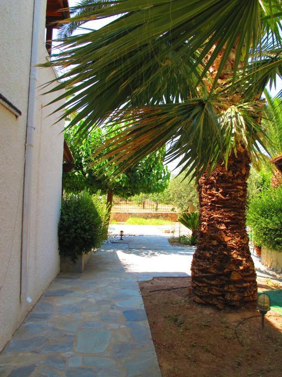 Apartment Stefanie Aegina